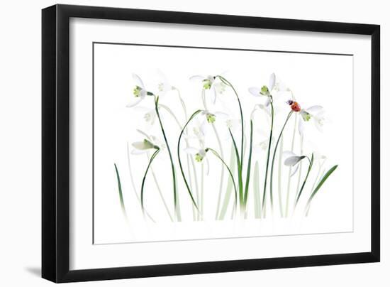 S P R I N G Lady-Jacky Parker-Framed Giclee Print