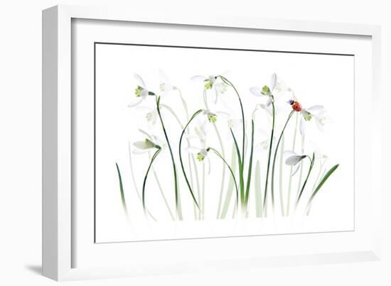 S P R I N G Lady-Jacky Parker-Framed Giclee Print