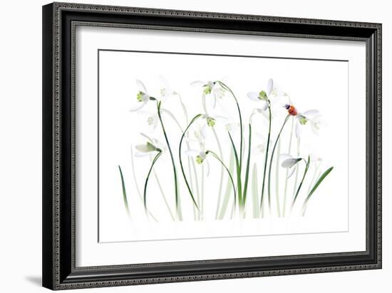 S P R I N G Lady-Jacky Parker-Framed Giclee Print