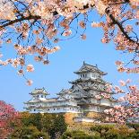 Spring Cherry Blossoms and the Main Tower of the UNESCO World Heritage Site: Himeji Castle, also Ca-S R Lee Photo Traveller-Framed Photographic Print