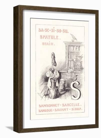 S: SA SE SI SO SU - Spatula - Serin - Sansonnet - Teal - Leech - Scholar - Syrup,1879 (Engraving)-Fortune Louis Meaulle-Framed Giclee Print