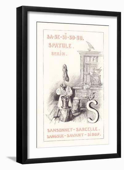 S: SA SE SI SO SU - Spatula - Serin - Sansonnet - Teal - Leech - Scholar - Syrup,1879 (Engraving)-Fortune Louis Meaulle-Framed Giclee Print