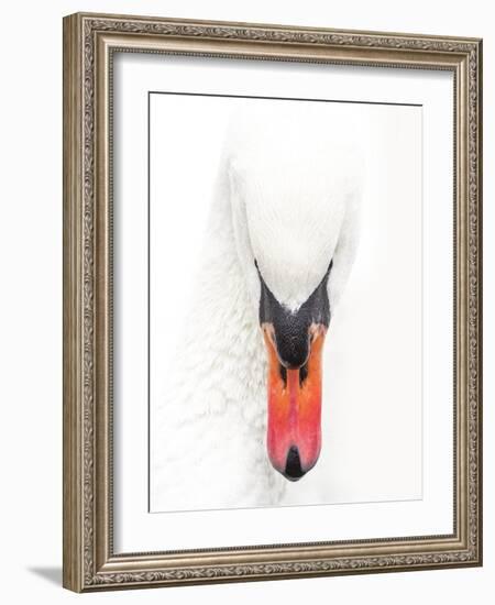 S.T. 032-Dorian Gray-Framed Giclee Print