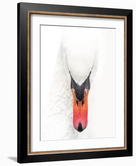 S.T. 032-Dorian Gray-Framed Giclee Print