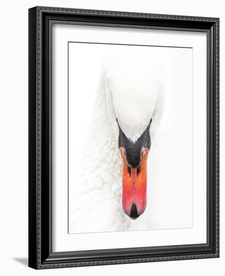 S.T. 032-Dorian Gray-Framed Giclee Print