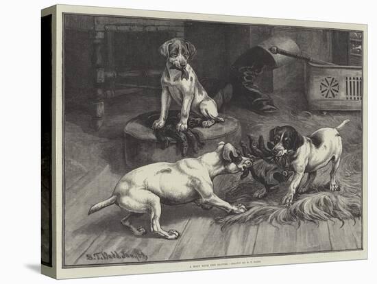 Stretched Canvas Print, , large