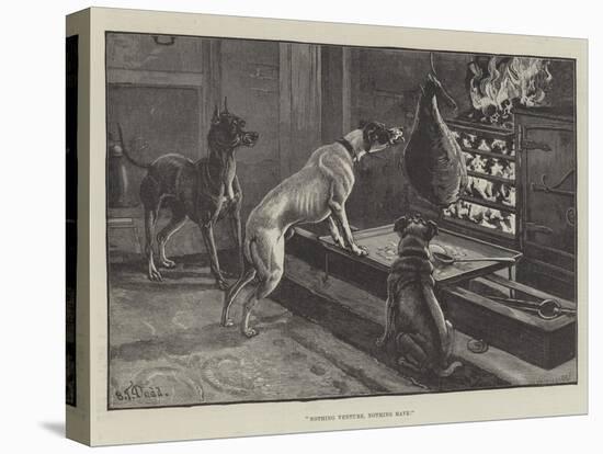 Stretched Canvas Print, , large