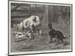 Premium Giclee Print
