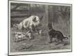 Giclee Print