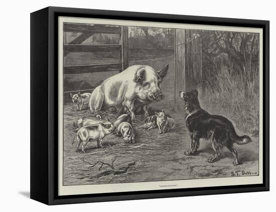 Stretched Canvas Print, , large