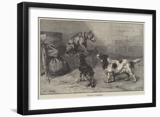 Giclee Print, , large