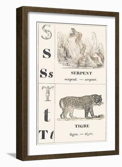 S T: Snake — Tiger, 1850 (Engraving)-Louis Simon (1810-1870) Lassalle-Framed Giclee Print