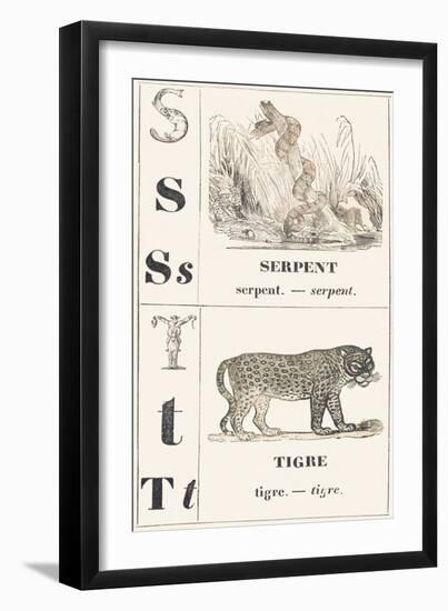 S T: Snake — Tiger, 1850 (Engraving)-Louis Simon (1810-1870) Lassalle-Framed Giclee Print