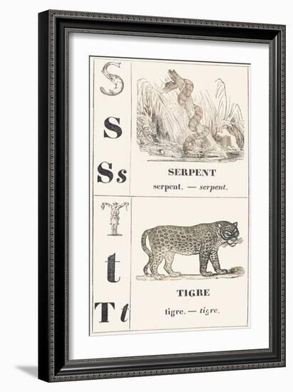 S T: Snake — Tiger, 1850 (Engraving)-Louis Simon (1810-1870) Lassalle-Framed Giclee Print