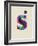 S-null-Framed Art Print