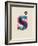 S-null-Framed Art Print