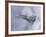 Saab JA 37 Viggen Fighter of the Swedish Air Force-Stocktrek Images-Framed Photographic Print