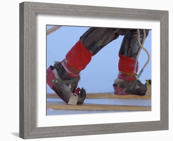 Saami Shoes and Skis, Stora Sjofallet National Park, Lapland, Sweden-Staffan Widstrand-Framed Photographic Print