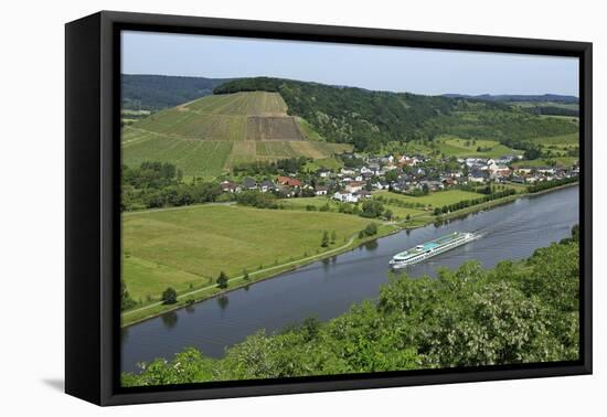 Saar River near Ayl-Biebelhausen, Rhineland-Palatinate, Germany, Europe-Hans-Peter Merten-Framed Premier Image Canvas