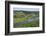 Saar River near Ayl-Biebelhausen, Rhineland-Palatinate, Germany, Europe-Hans-Peter Merten-Framed Photographic Print