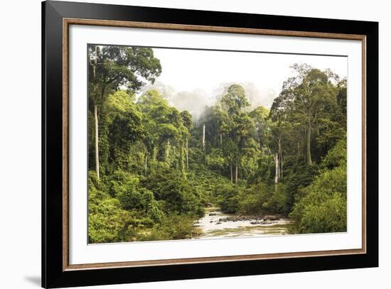 Sabah Mist-null-Framed Giclee Print