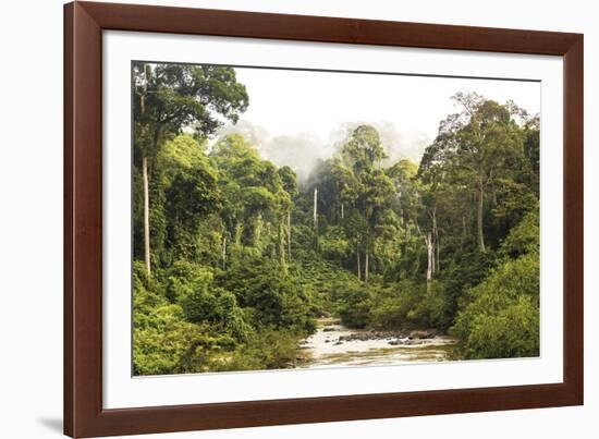 Sabah Mist-null-Framed Giclee Print