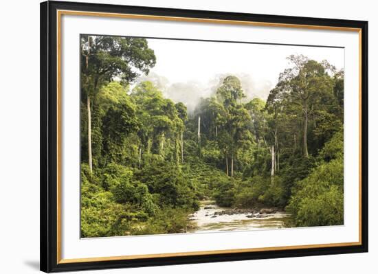 Sabah Mist-null-Framed Giclee Print