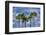 Sabal Palm trees, Florida, USA-Jim Engelbrecht-Framed Photographic Print