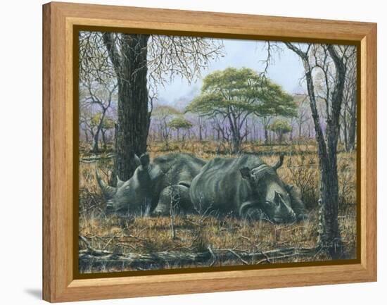 Sabi Sand Siesta-Richard Harpum-Framed Stretched Canvas