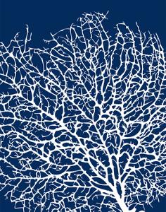 Navy Coral I by Sabine Berg