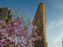 Flat Iron Building in the Spring, Manhattan, New York City-Sabine Jacobs-Photographic Print