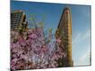 Premium Photographic Print