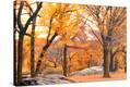 Stretched Canvas Print