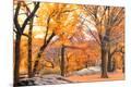 Premium Photographic Print