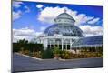 Photographic Print
