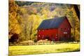 Premium Photographic Print