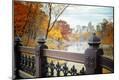 Photographic Print
