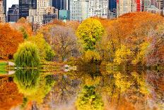 The Pond in Central Park, Manhattan, New York City-Sabine Jacobs-Photographic Print