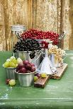 A Still Life of Currants and Gooseberries in Assorted Aluminium Containers-Sabine Löscher-Photographic Print