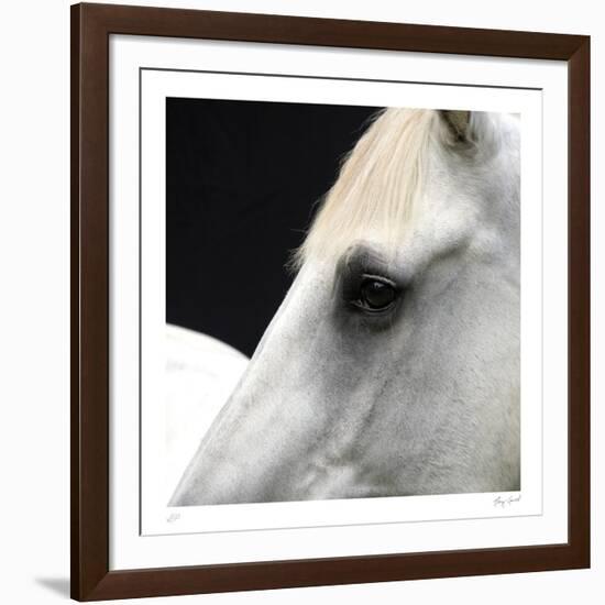 Sabino-Ray Hartl-Framed Collectable Print