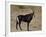 Sable Antelope (Hippotragus Niger), Male, Kruger National Park, South Africa, Africa-James Hager-Framed Photographic Print