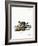 Sable-null-Framed Giclee Print