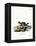 Sable-null-Framed Premier Image Canvas