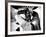 Saboteur, Robert Cummings, Norman Lloyd, 1942-null-Framed Photo