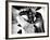 Saboteur, Robert Cummings, Norman Lloyd, 1942-null-Framed Photo