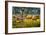 Sabre-toothed Cat Chasing Prey-Mauricio Anton-Framed Photographic Print