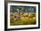 Sabre-toothed Cat Chasing Prey-Mauricio Anton-Framed Photographic Print