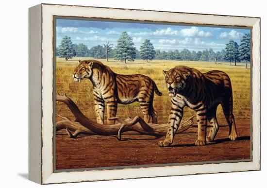 Sabre-toothed Cats, Artwork-Mauricio Anton-Framed Premier Image Canvas