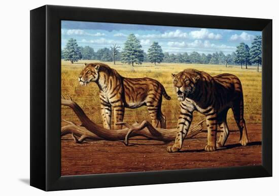 Sabre-toothed Cats, Artwork-Mauricio Anton-Framed Premier Image Canvas