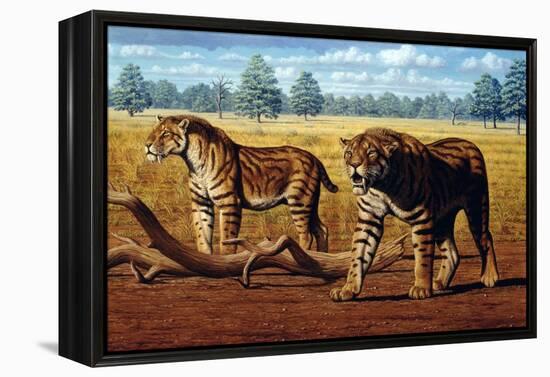 Sabre-toothed Cats, Artwork-Mauricio Anton-Framed Premier Image Canvas